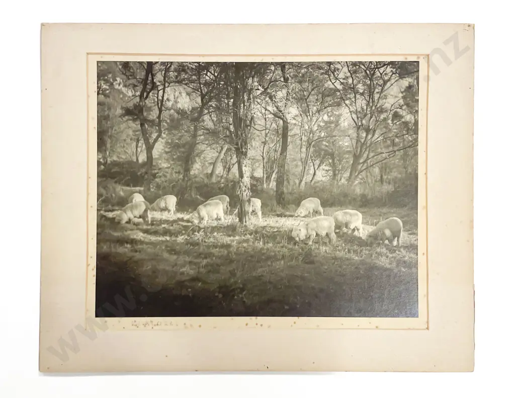Collection Twelve Len. Casbolt Studio Landscape and Scenic Mounted on Card Image 1++