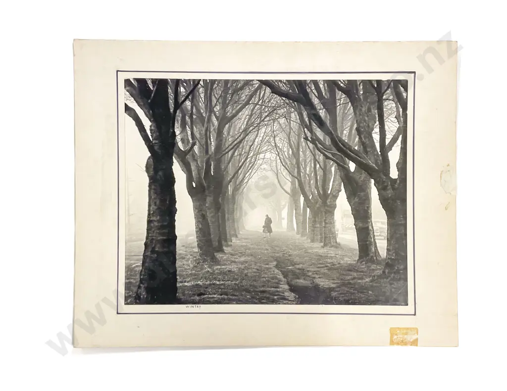 Collection Fifteen Len. Casbolt Studio Portrait Landscape and Scenic Photographs on Card Image 1++