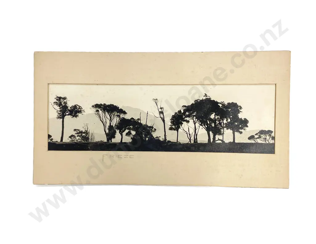 Collection Fifteen Len. Casbolt Studio Portrait Landscape and Scenic Photographs on Card Image 1++