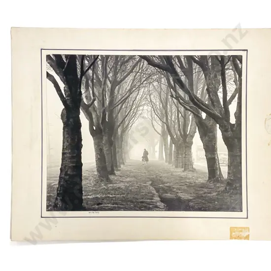 Collection Fifteen Len. Casbolt Studio Portrait Landscape and Scenic Photographs on Card