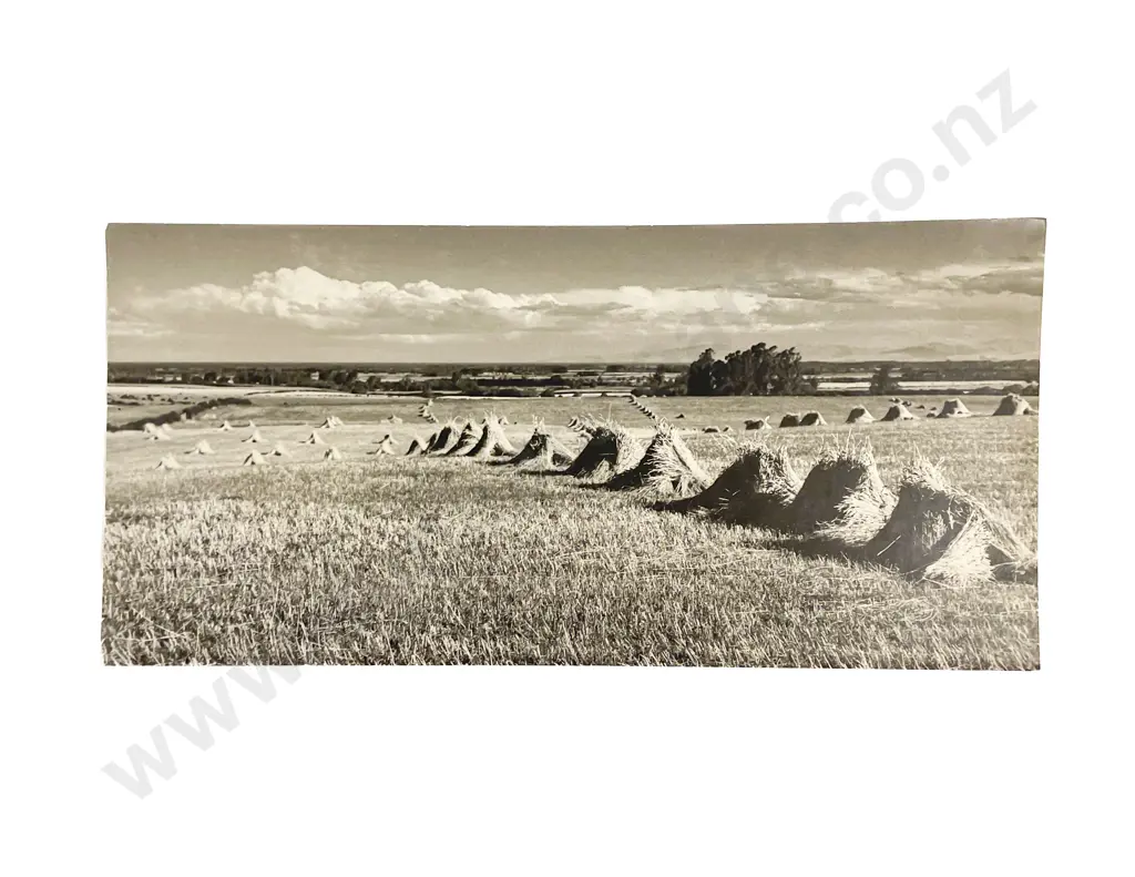 Collection Len. Casbolt Studio Portrait Landscape and Scenic Photographs Unmounted Image 1++