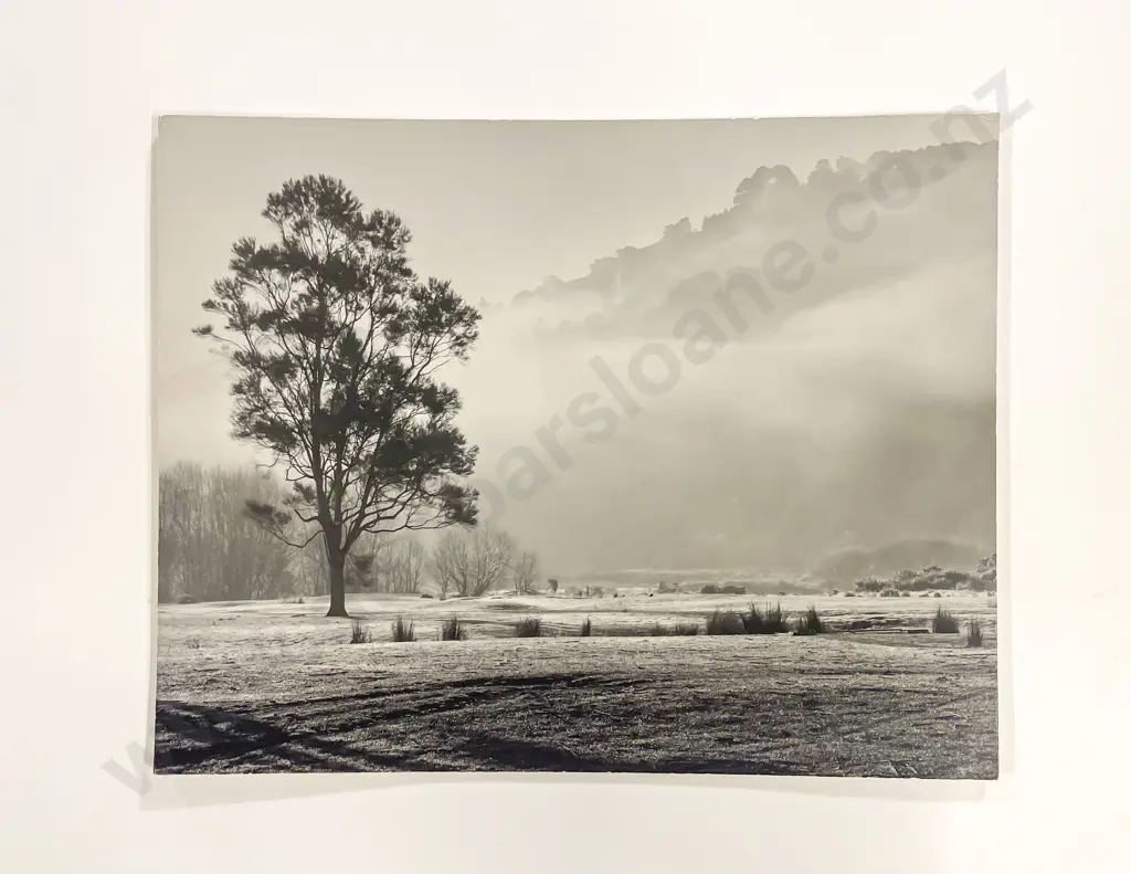 Collection C.G.R. Ward Studio Urban Scenic and Landscape Photographs on Card Image 1++