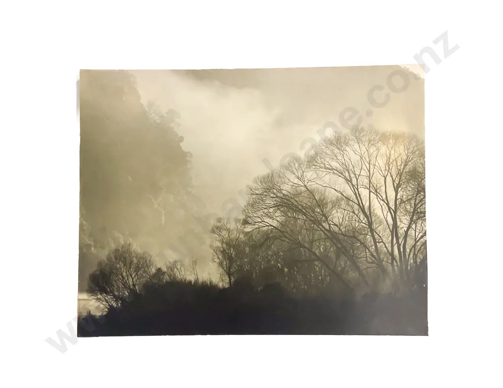 Collection C.G.R. Ward Studio Urban Scenic and Landscape Photographs on Card Image 1++