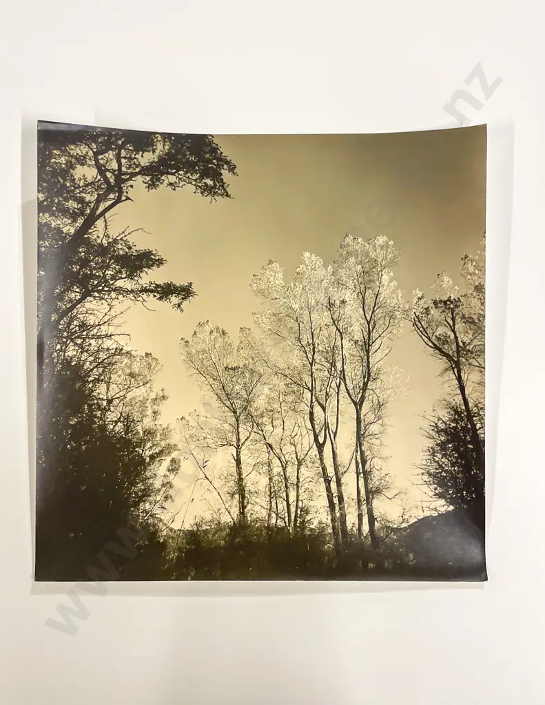Collection Len. Casbolt Studio Photographs and Scenic Unmounted Image 1++