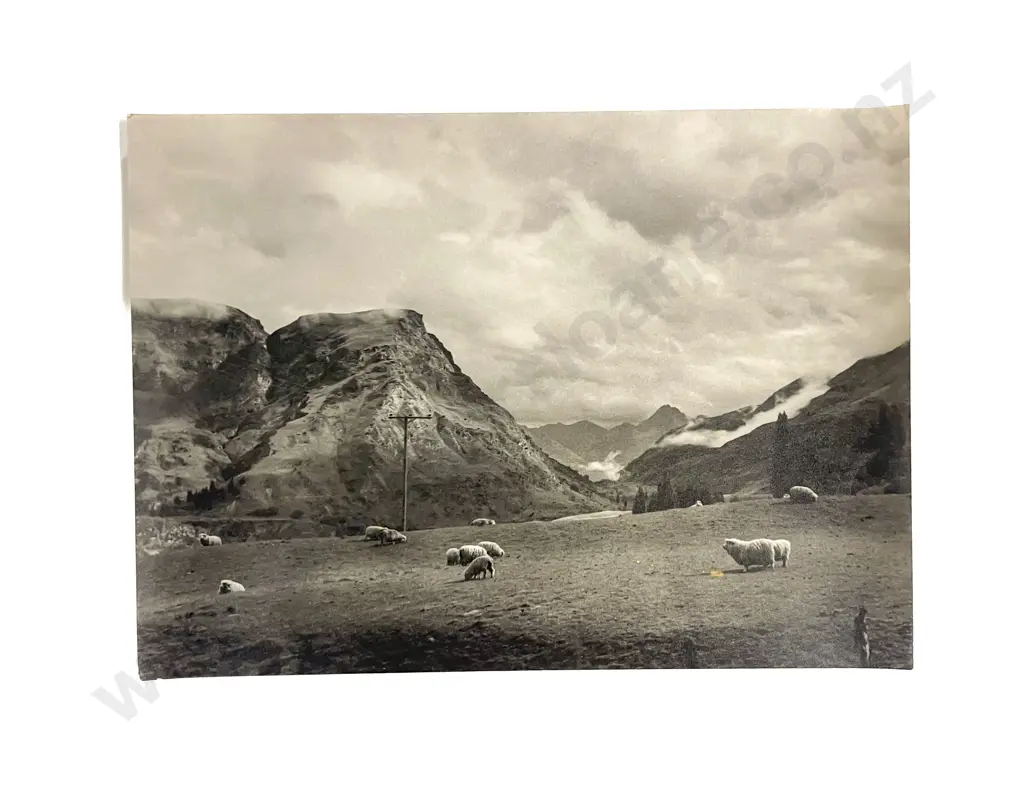 Collection Len. Casbolt Studio Photographs and Scenic Unmounted Image 1++