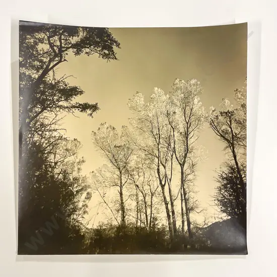 Collection Len. Casbolt Studio Photographs and Scenic Unmounted
