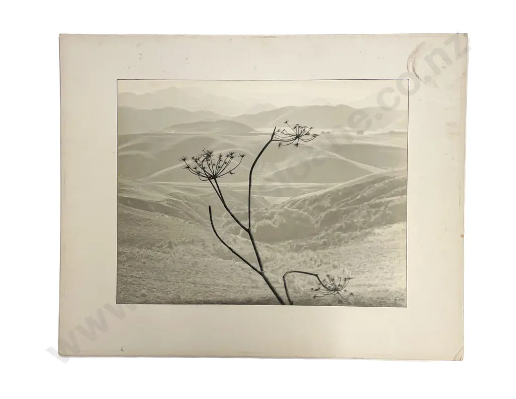 Collection Fifteen Len. Casbolt Studio Photographs on Card Image 1++