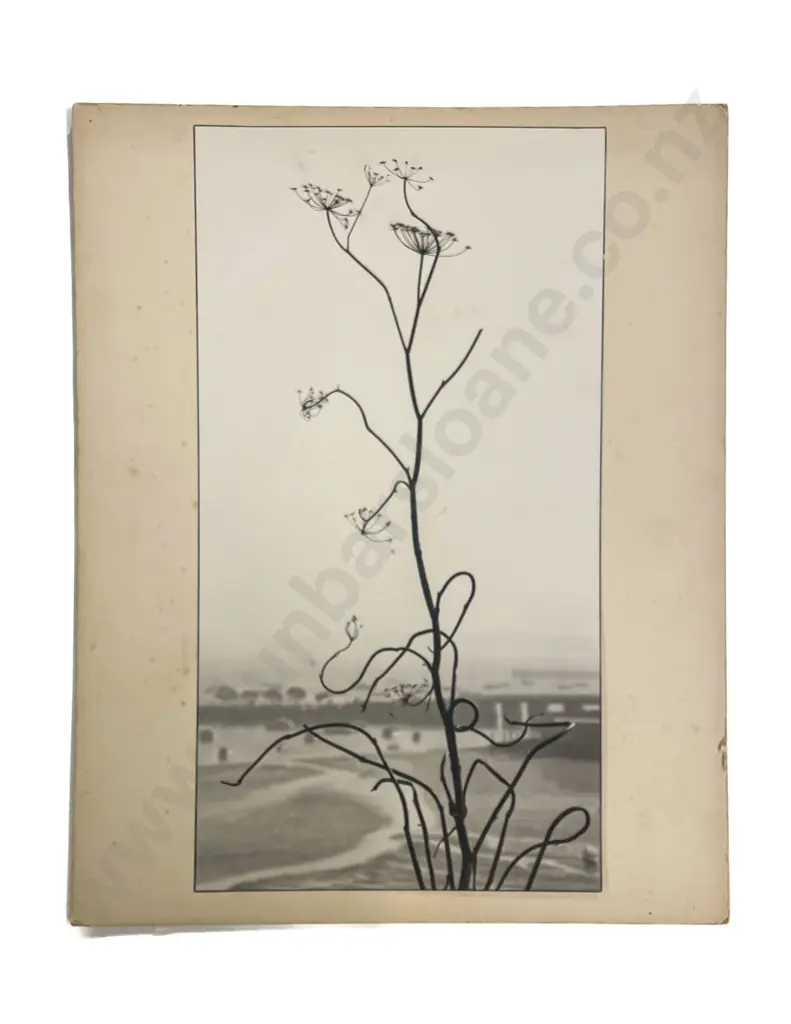 Collection Ten Len. Casbolt Studio Photographs on Card Image 1++