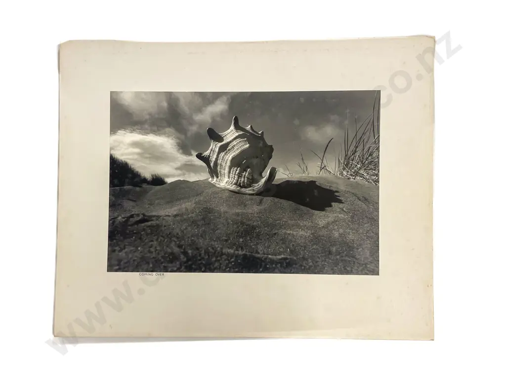 Collection Ten Len. Casbolt Studio Photographs on Card Image 1++