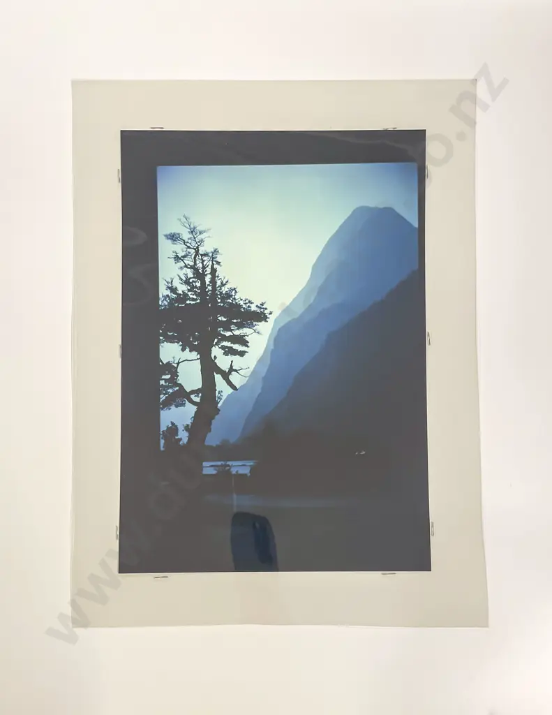David Moore Reg Graham and Other Photographers Portrait and Artistic Works Image 1++