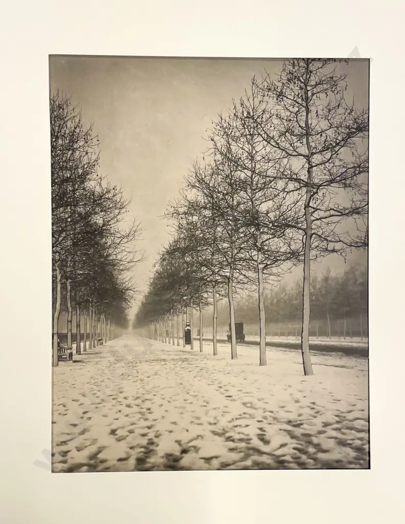 Collection Harry Moult Photographic Works on Board Circa 1920s Image 1++