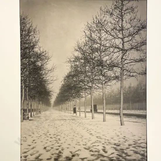 Collection Harry Moult Photographic Works on Board Circa 1920s