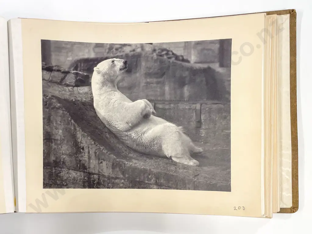 Five Bound Folders H. Moult Photographic Book Plates Image 1++