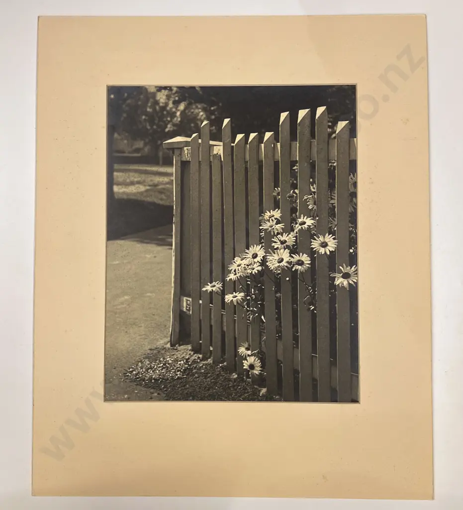 Twelve Various Artists Photographs Including Works Submitted for Competition Image 1++