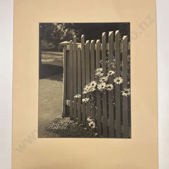 Twelve Various Artists Photographs Including Works Submitted for Competition