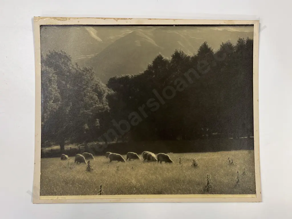 Twelve Various Artists Photographs Including Works Submitted for Competition Image 1++