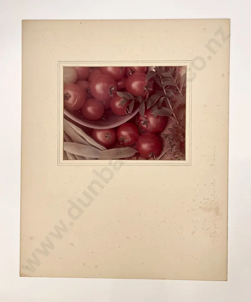 Collection Studio Artists Including Len. Casbolt  National Exhibition Photographic Prints etc Image 1++