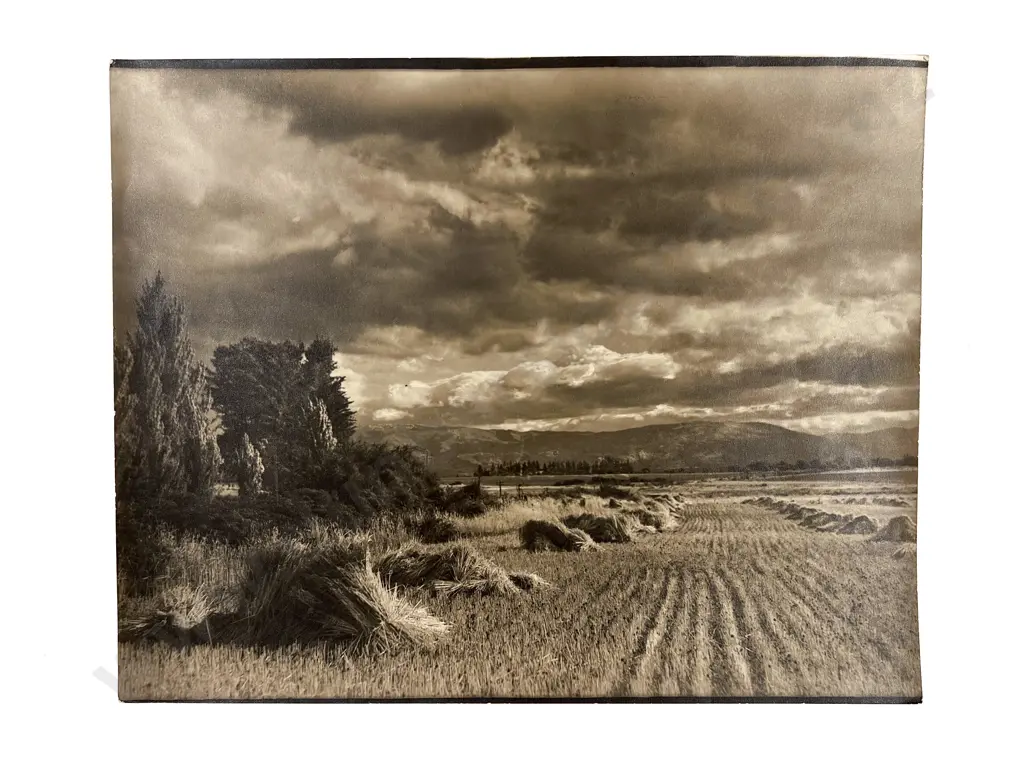Collection of Various Photographers Vintage and Contemporary etc Image 1++