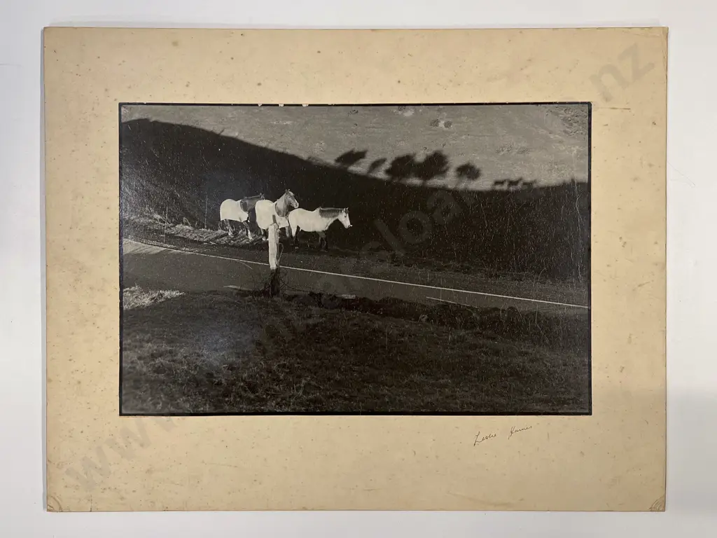 Collection Various Photographers Scenic and Artistic Works Image 1++