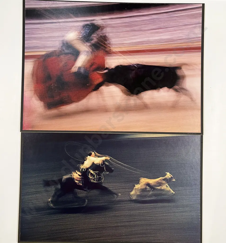 12 Haas Polychrome Photographic Prints Mounted on Board Image 1++