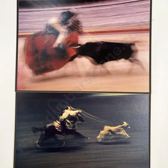 12 Haas Polychrome Photographic Prints Mounted on Board
