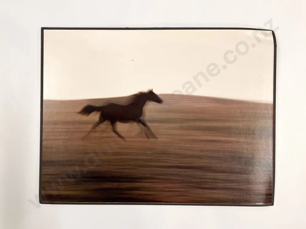 11 Haas Polychrome Photographic Prints Mounted on Board Image 1++