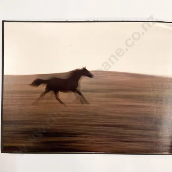 11 Haas Polychrome Photographic Prints Mounted on Board