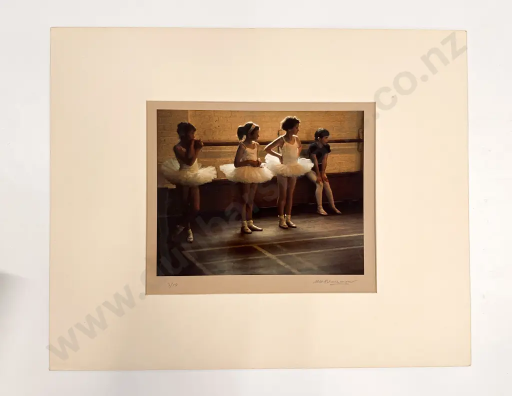 Collection of 10 Beaumont Polychrome Photographic Prints Image 1++