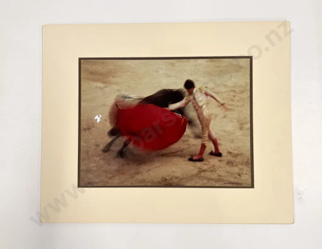Collection of 10 Beaumont Polychrome Photographic Prints Image 1++