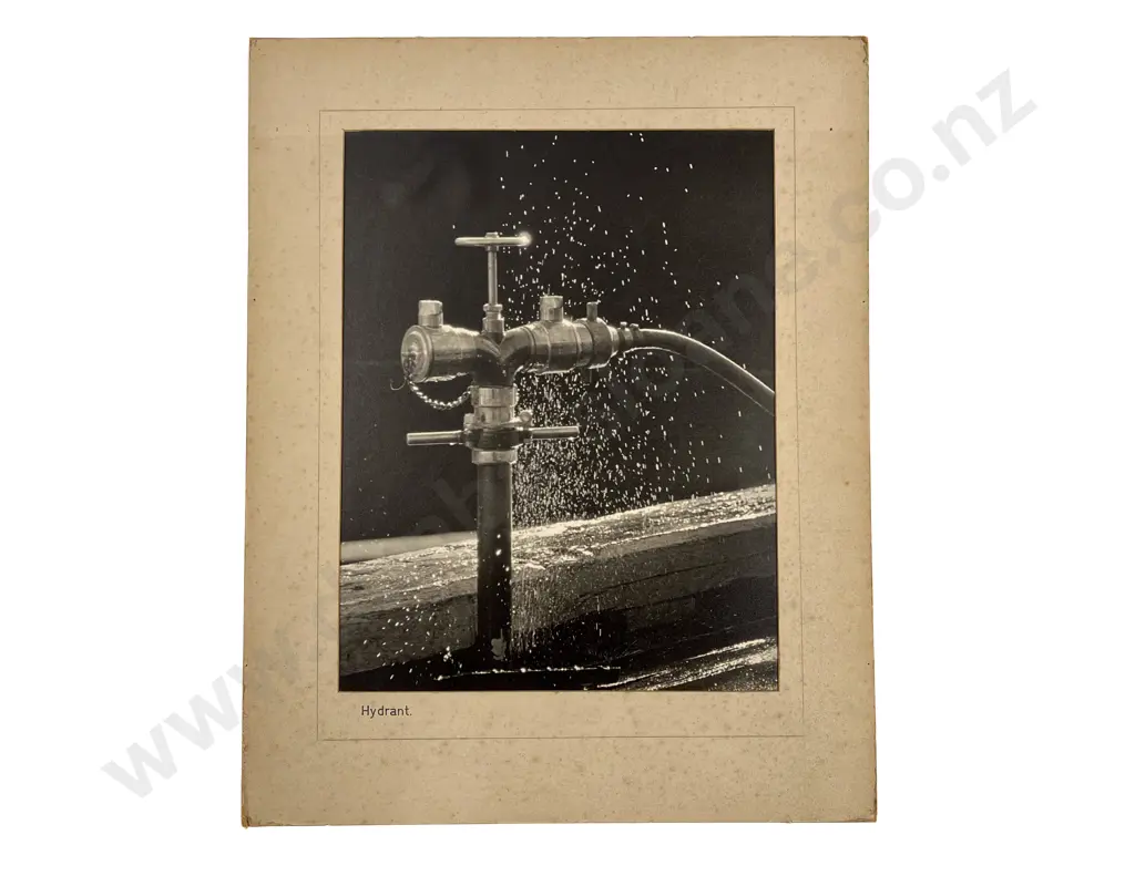 Collection of 10 Beaumont Polychrome Photographic Prints Image 1++