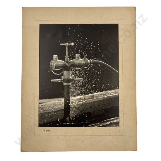 Collection of 10 Beaumont Polychrome Photographic Prints