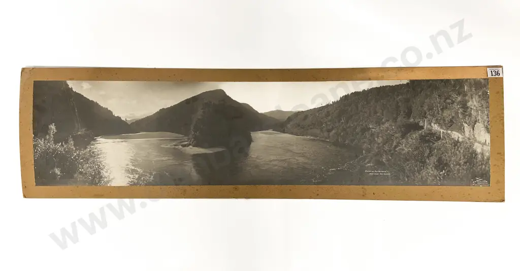 R P Moore Mounted B/W Photograph Panoramic Scene on Buller Gorge Image 1++