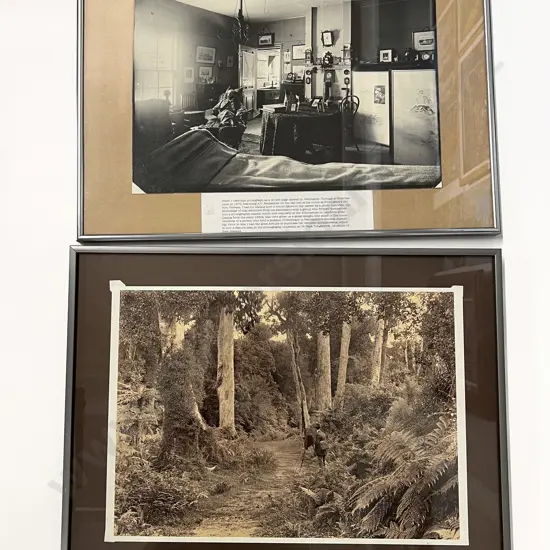 Collection of Four Framed Photographs