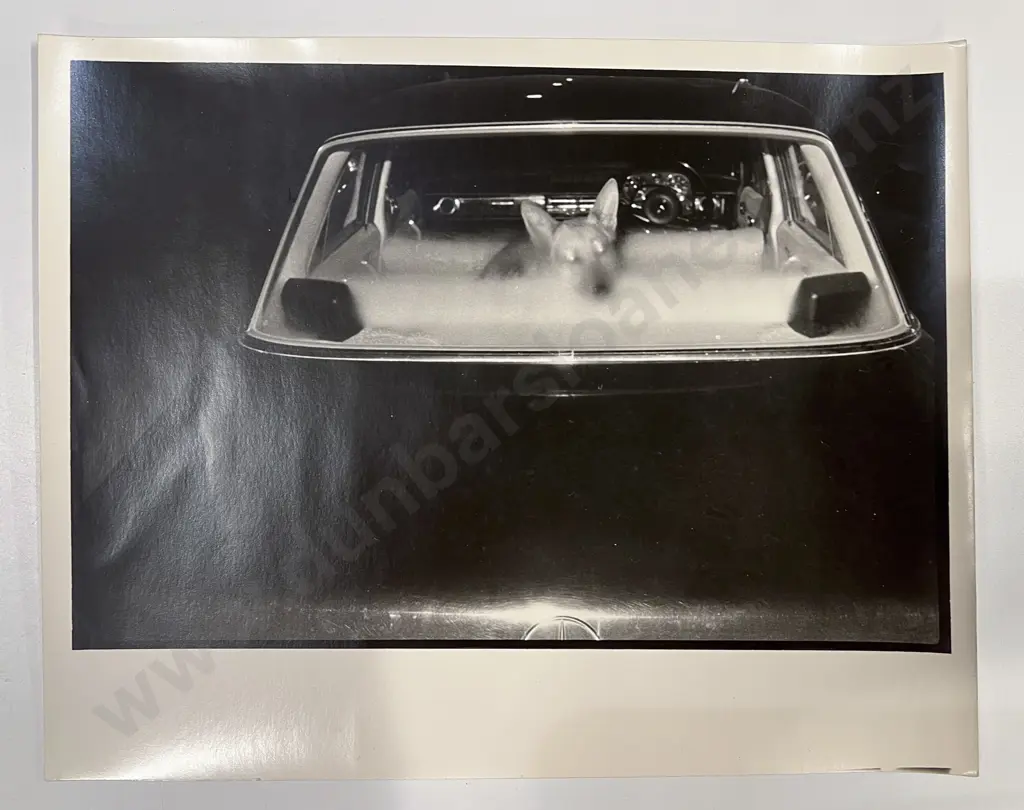 Three Peter Black B/W Photographs Image 1++