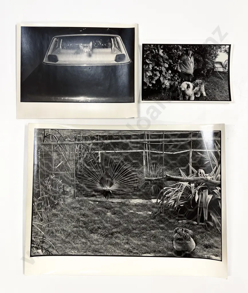 Three Peter Black B/W Photographs Image 1++