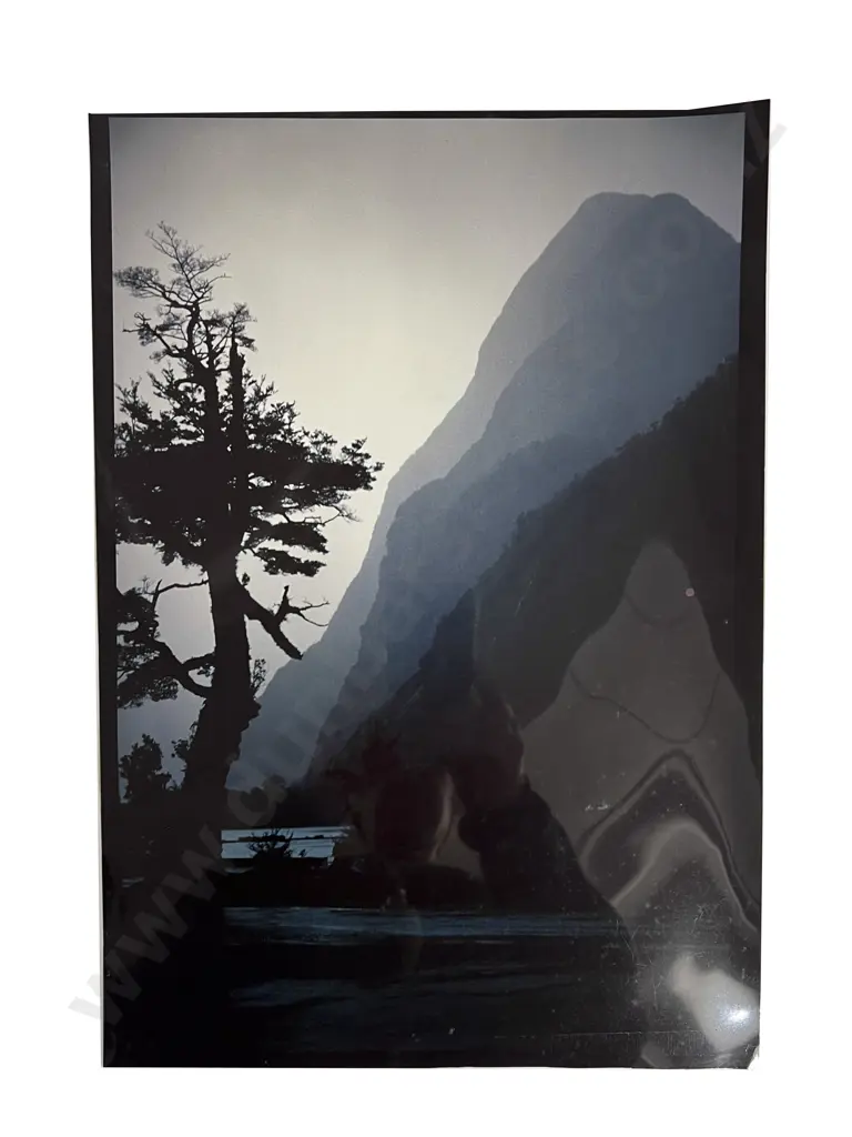 Four Contemporary Photographic Works by Paul Thompson Image 1++
