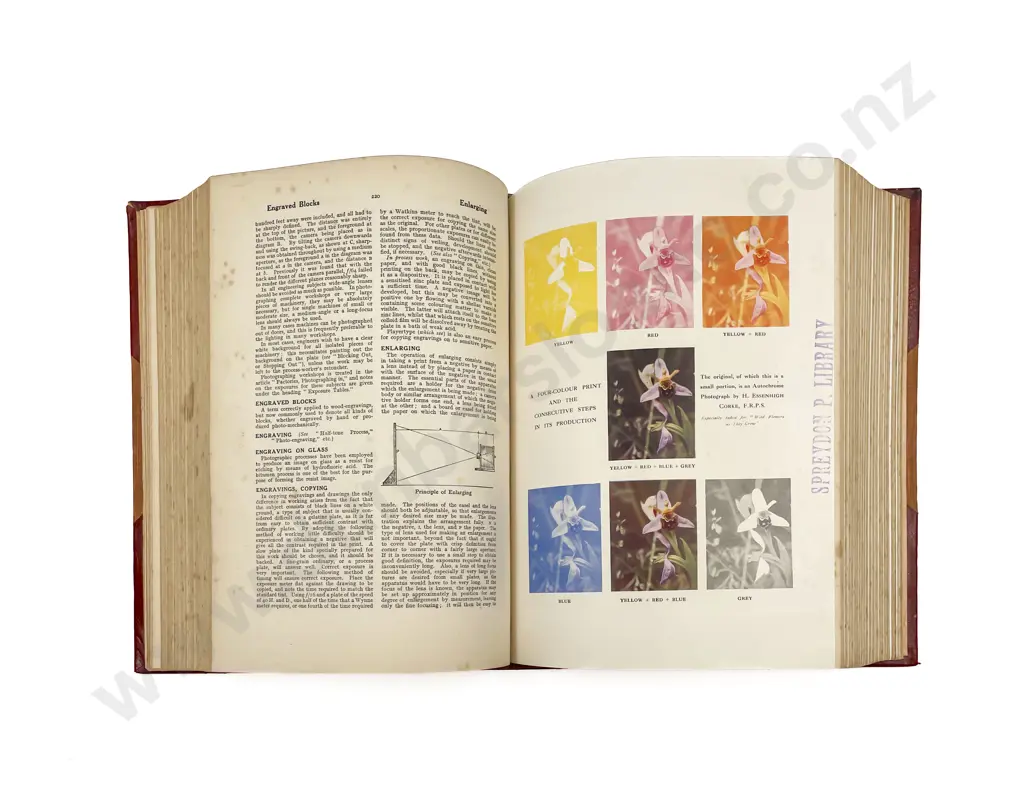 Early Wellington by Louis E. Ward Image 1++