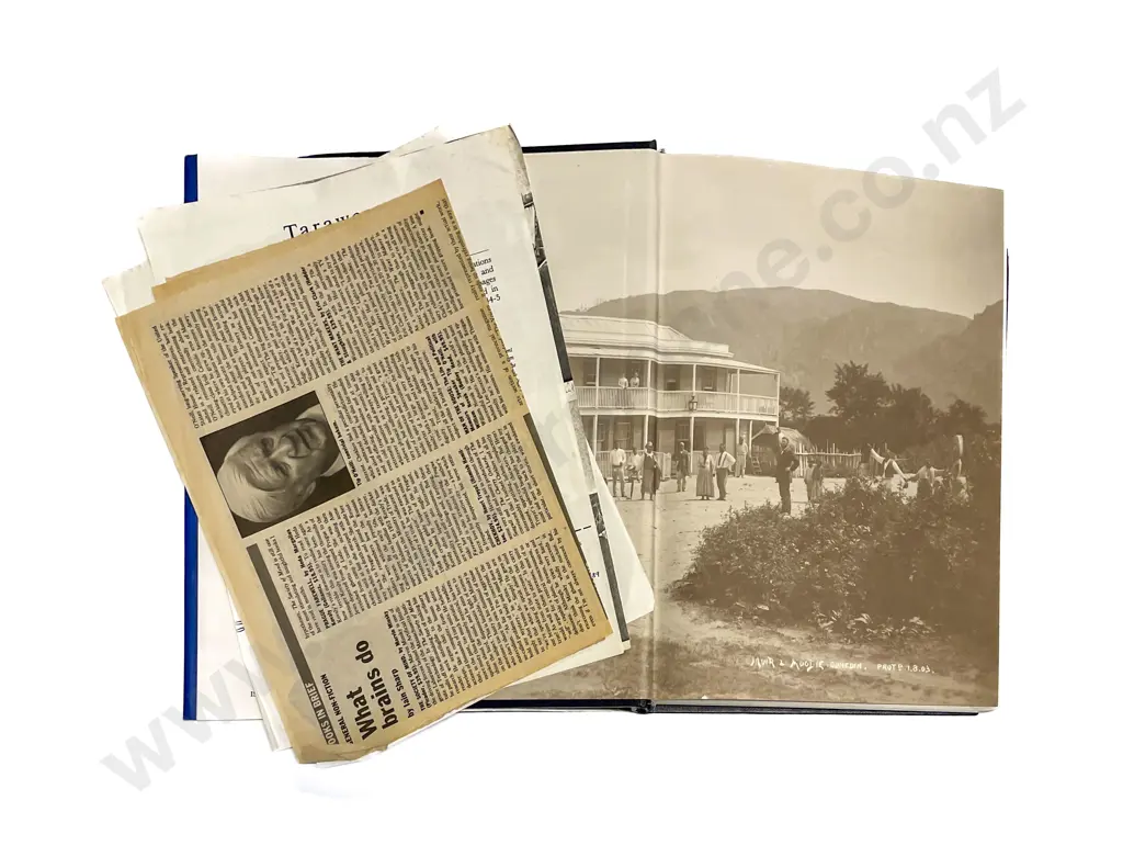 Tarawera by R.F. Keam Image 1++
