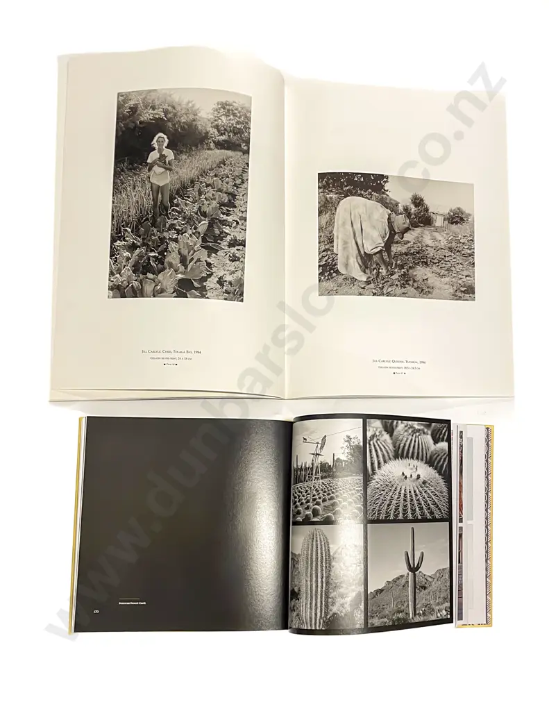 Four Assorted Photography Books Image 1++