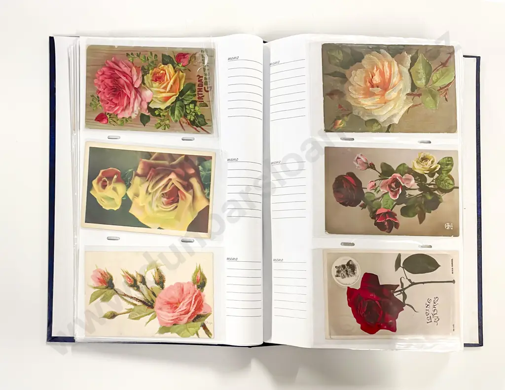 Collection of Assorted Early C20th Botanic Postcards Image 1++