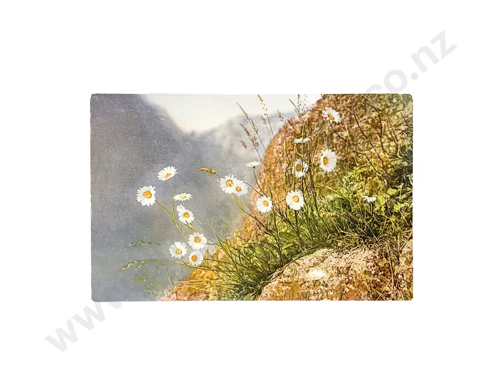 Collection of Assorted Early C20th Botanic Postcards Image 1++