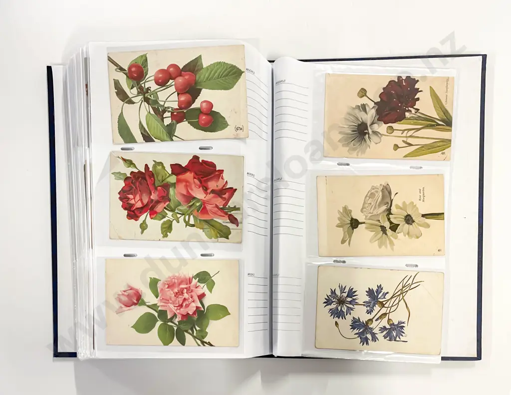 Collection of Assorted Early C20th Botanic Postcards Image 1++