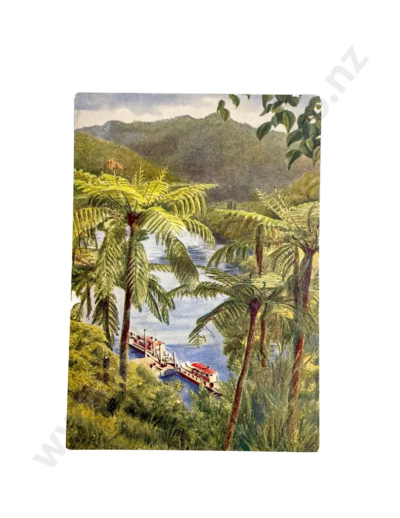 Collection of Assorted Early C20th Postcards of NZ World and Reproductions Image 1++
