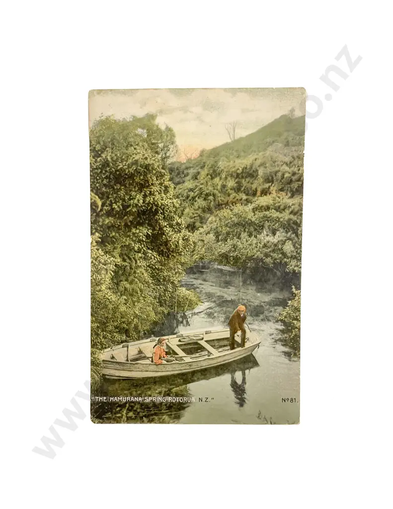 Collection of Assorted Early NZ C20th Postcards Image 1++