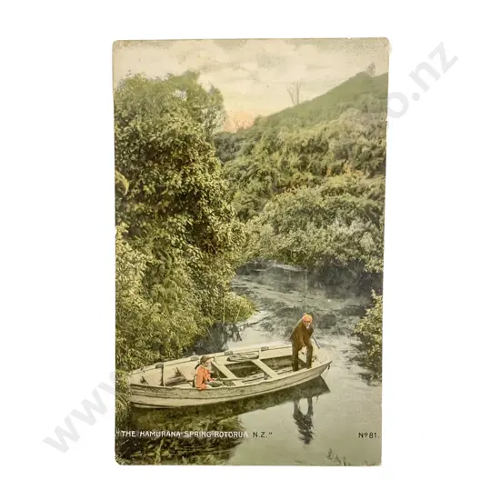 Collection of Assorted Early NZ C20th Postcards