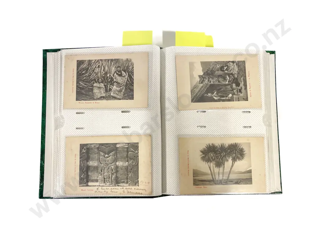 Collection of Assorted NZ Early C20th Postcards with Maori and Pacifica Subjects Image 1++