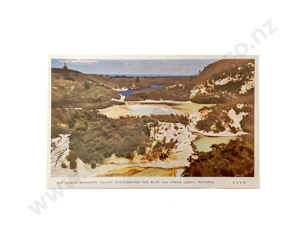 Collection of Assorted NZ C20th Postcard Image 1++