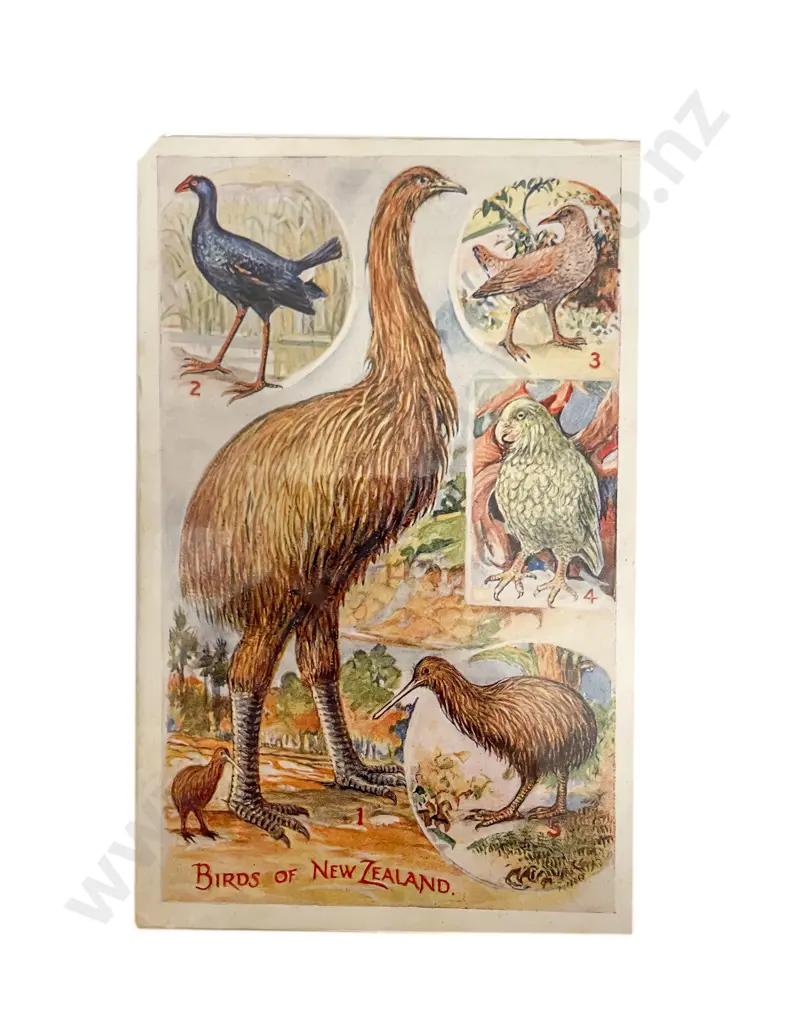 Collection of Assorted Early NZ C20th Postcards mixed selection mainly by Wilson Bros Image 1++