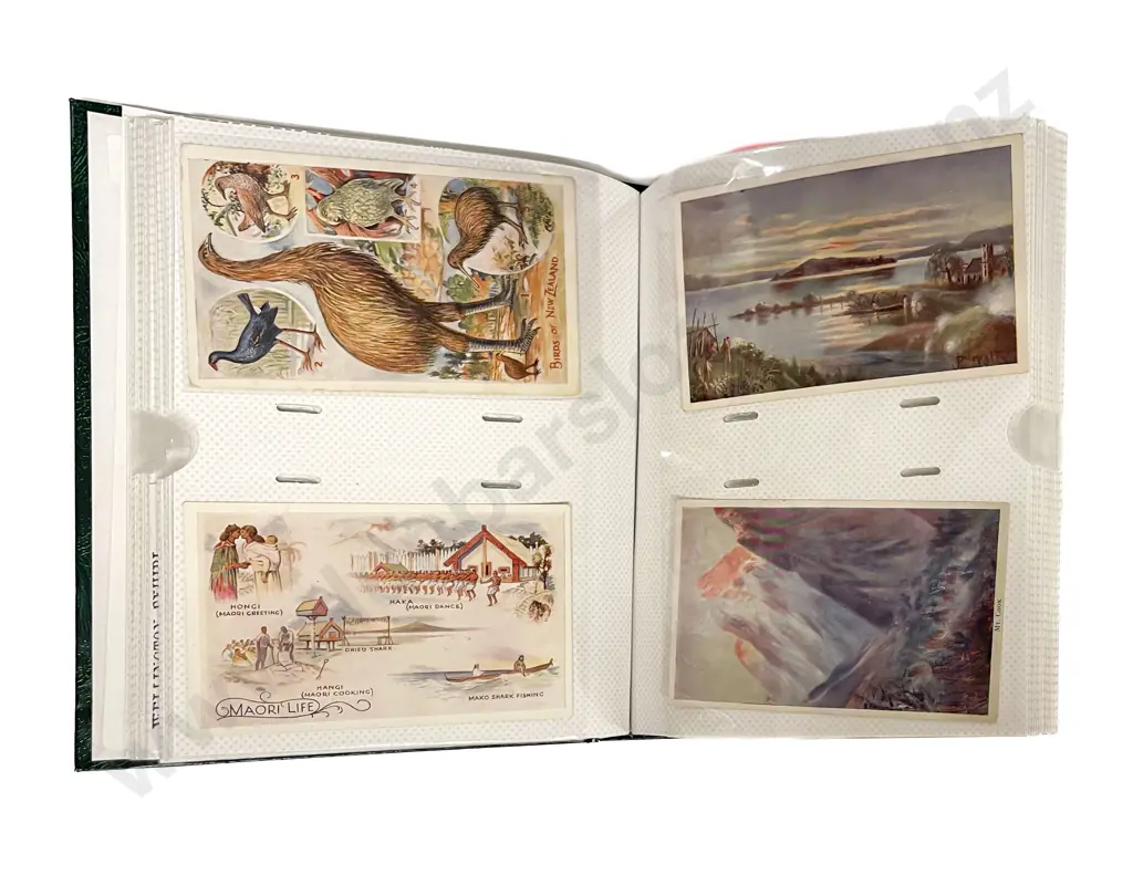 Collection of Assorted Early NZ C20th Postcards mixed selection mainly by Wilson Bros Image 1++