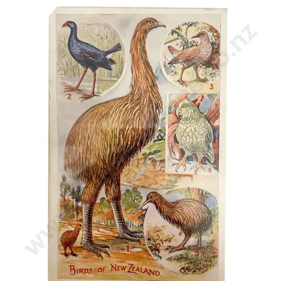 Collection of Assorted Early NZ C20th Postcards mixed selection mainly by Wilson Bros